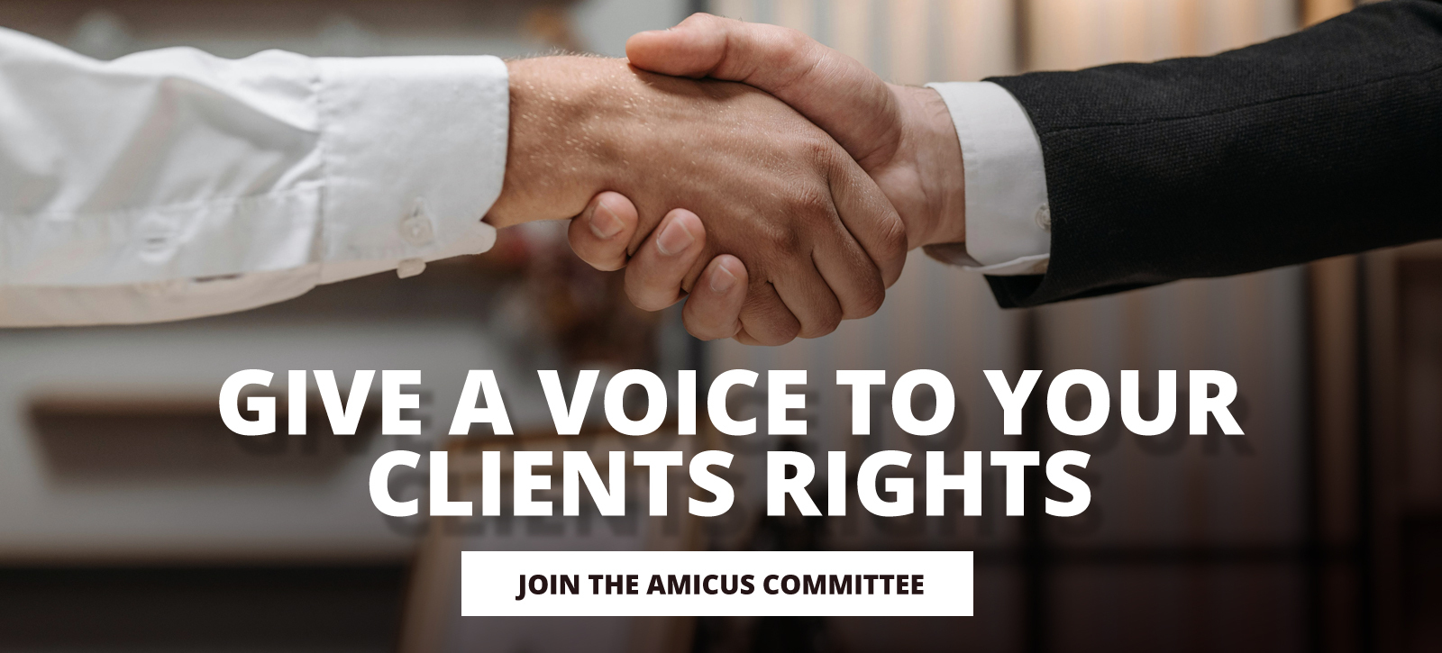Join the Amicus Committee